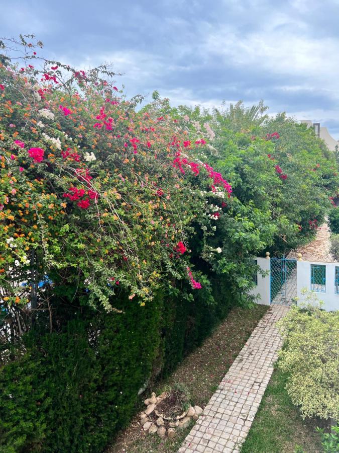 Appartement Rayhan Yasmine Hammamet Exteriör bild
